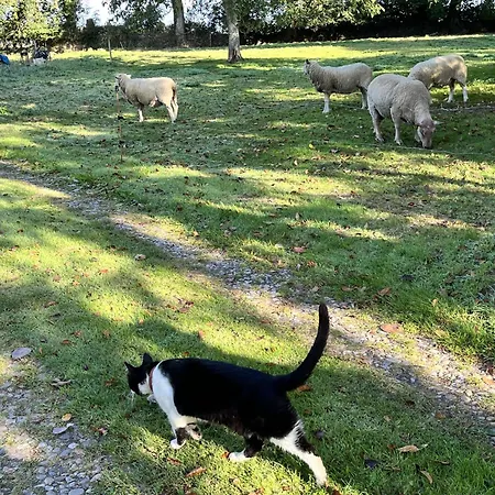 La Petite Ferme D Hyberville Apartmán
