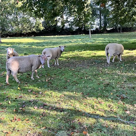 La Petite Ferme D Hyberville