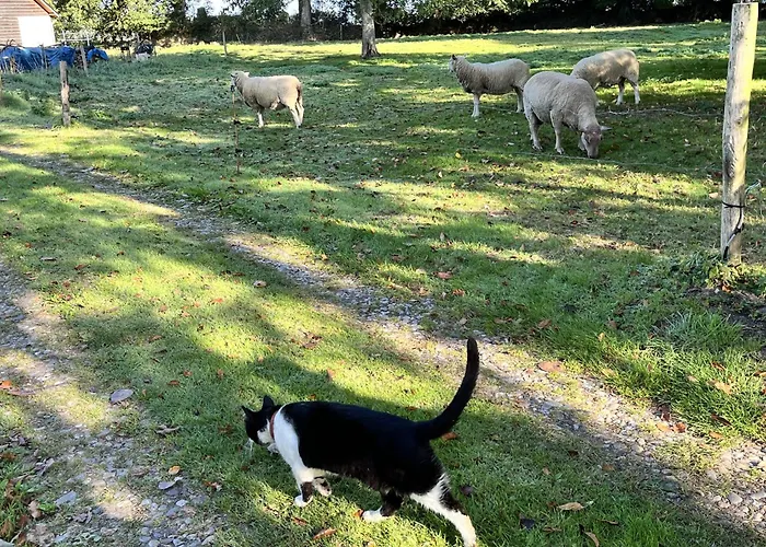 La Petite Ferme D Hyberville Appartamento