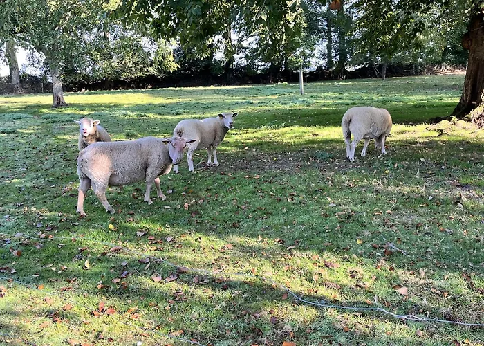 La Petite Ferme D Hyberville
